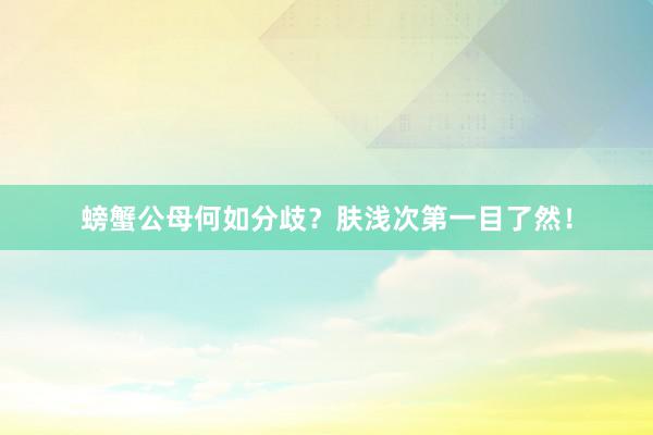 螃蟹公母何如分歧？肤浅次第一目了然！