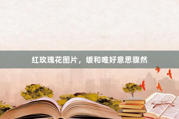 红玫瑰花图片，缓和唯好意思骤然